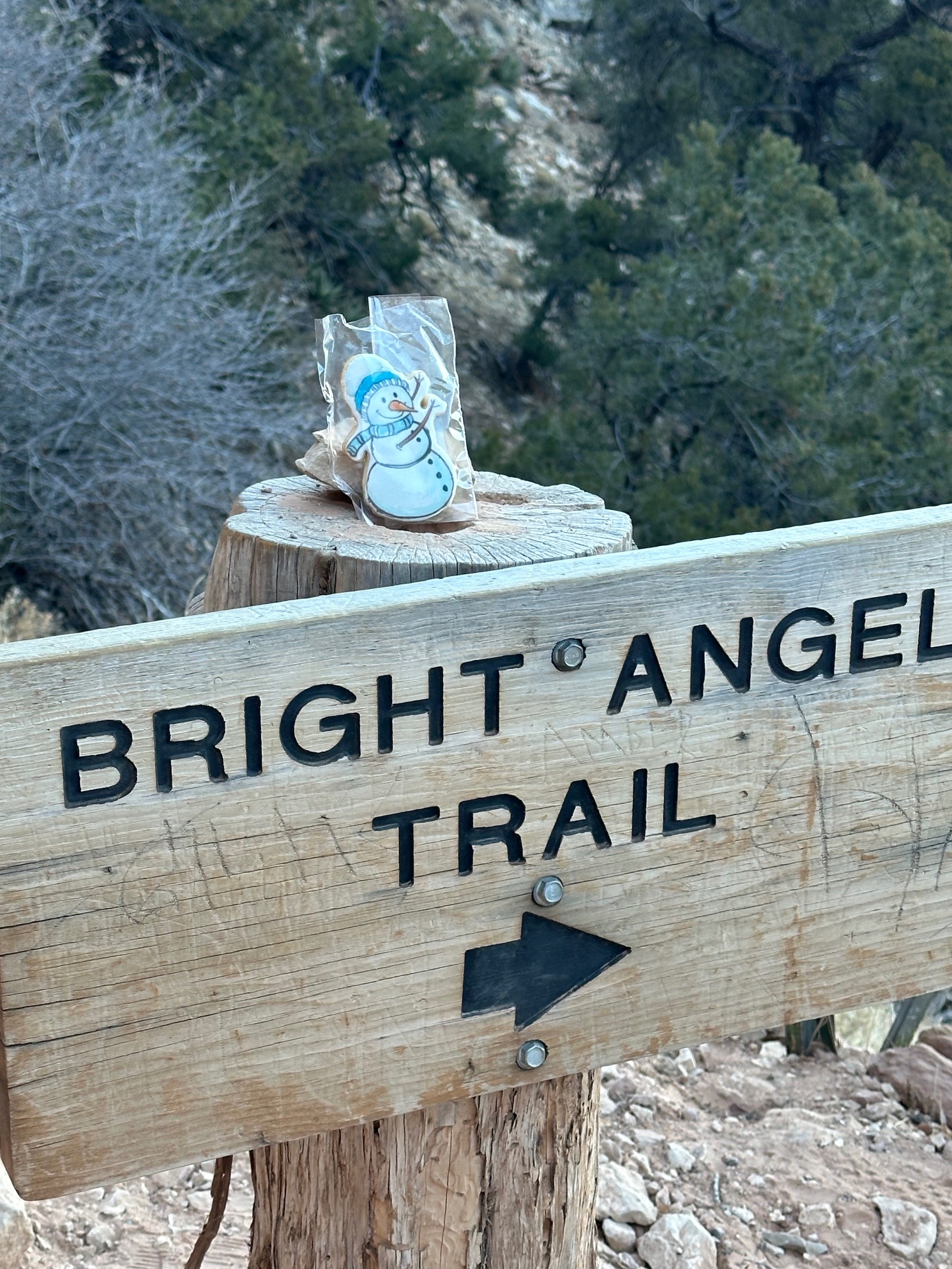 Snowman cookie posed on Bright Angel Trail sign at Grand Canyon