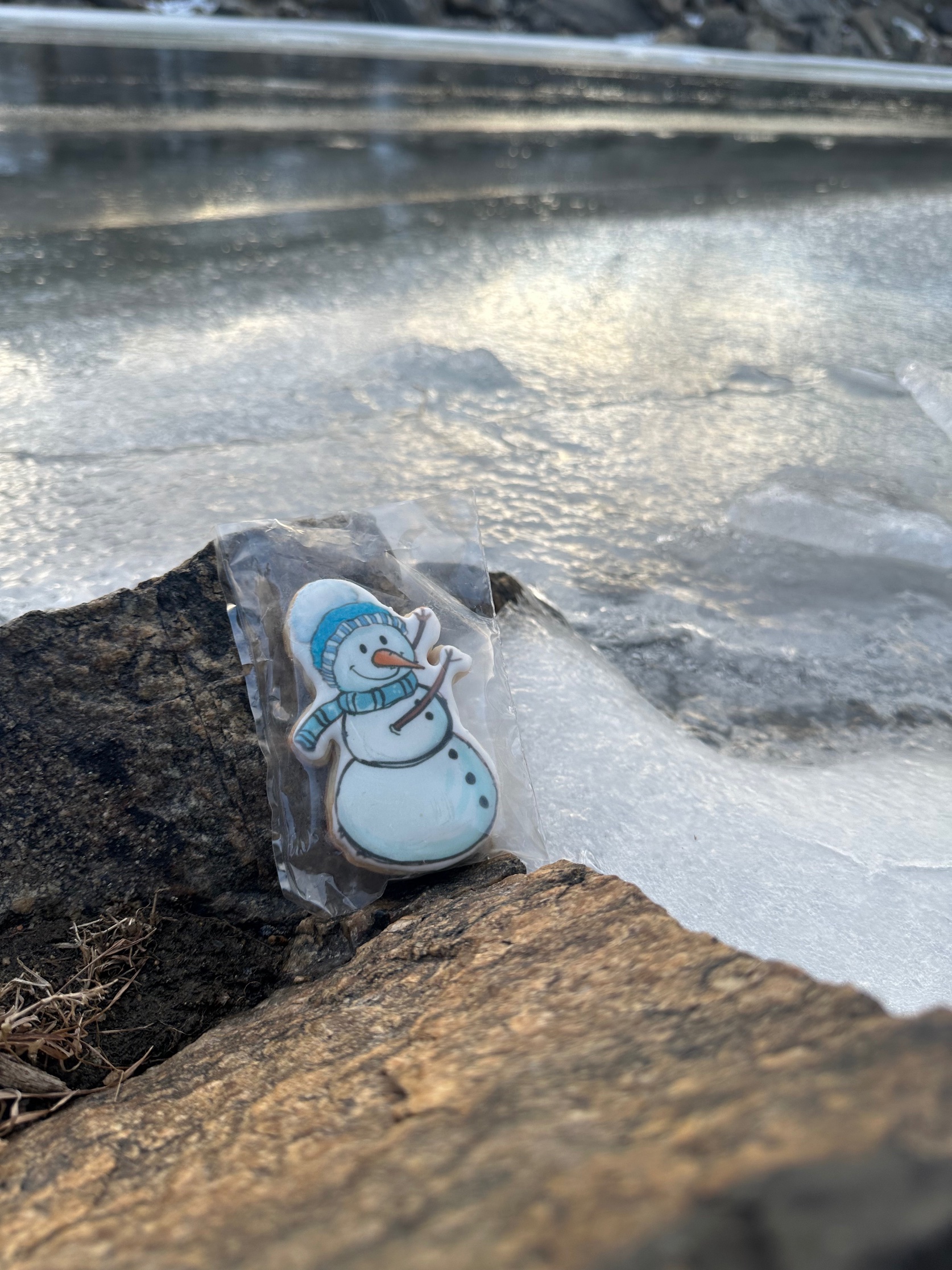 Snowman cookie propped on rock by the Colorado River