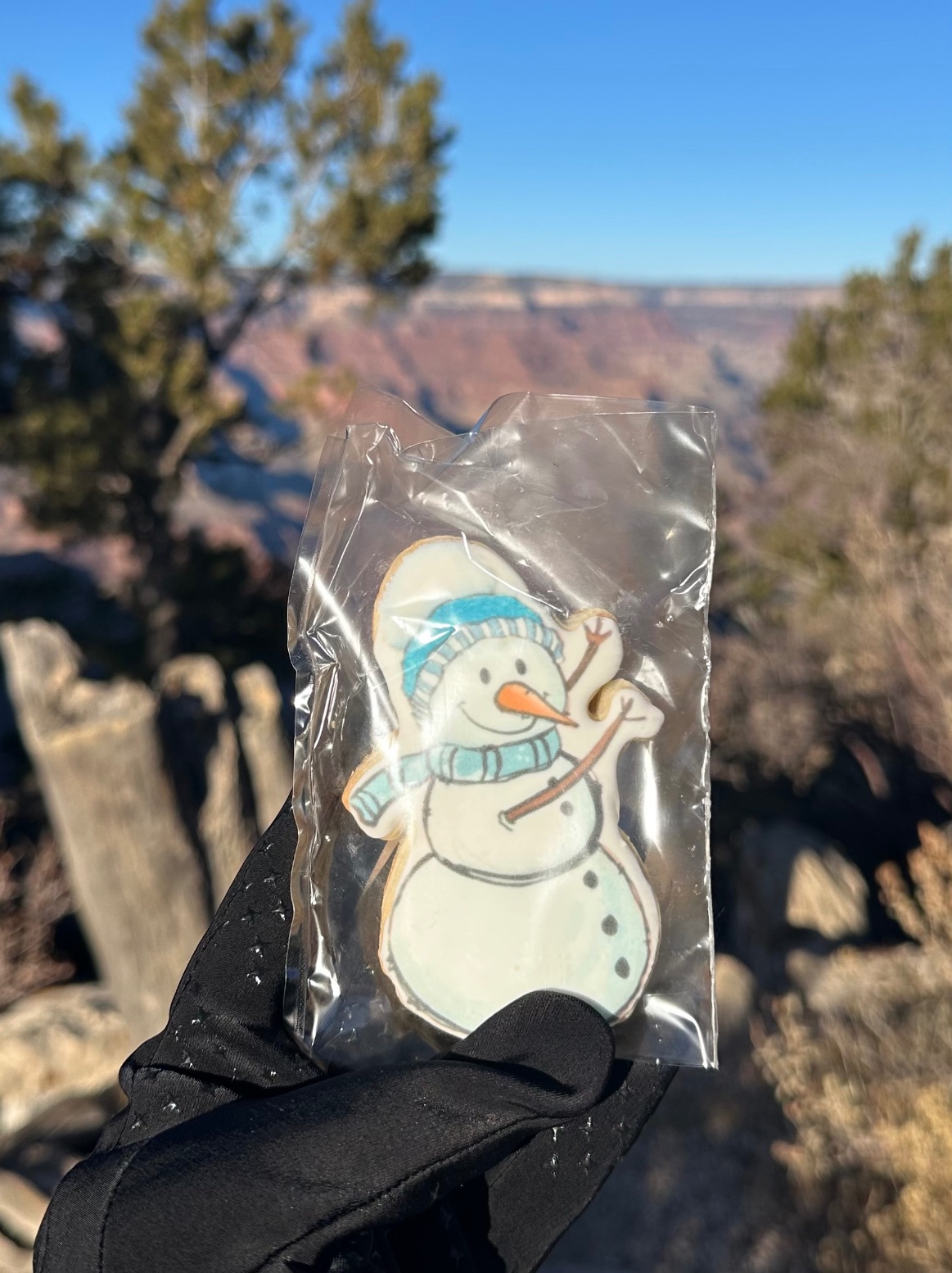 Snowman cookie in cello bag held up at the Grand Canyon