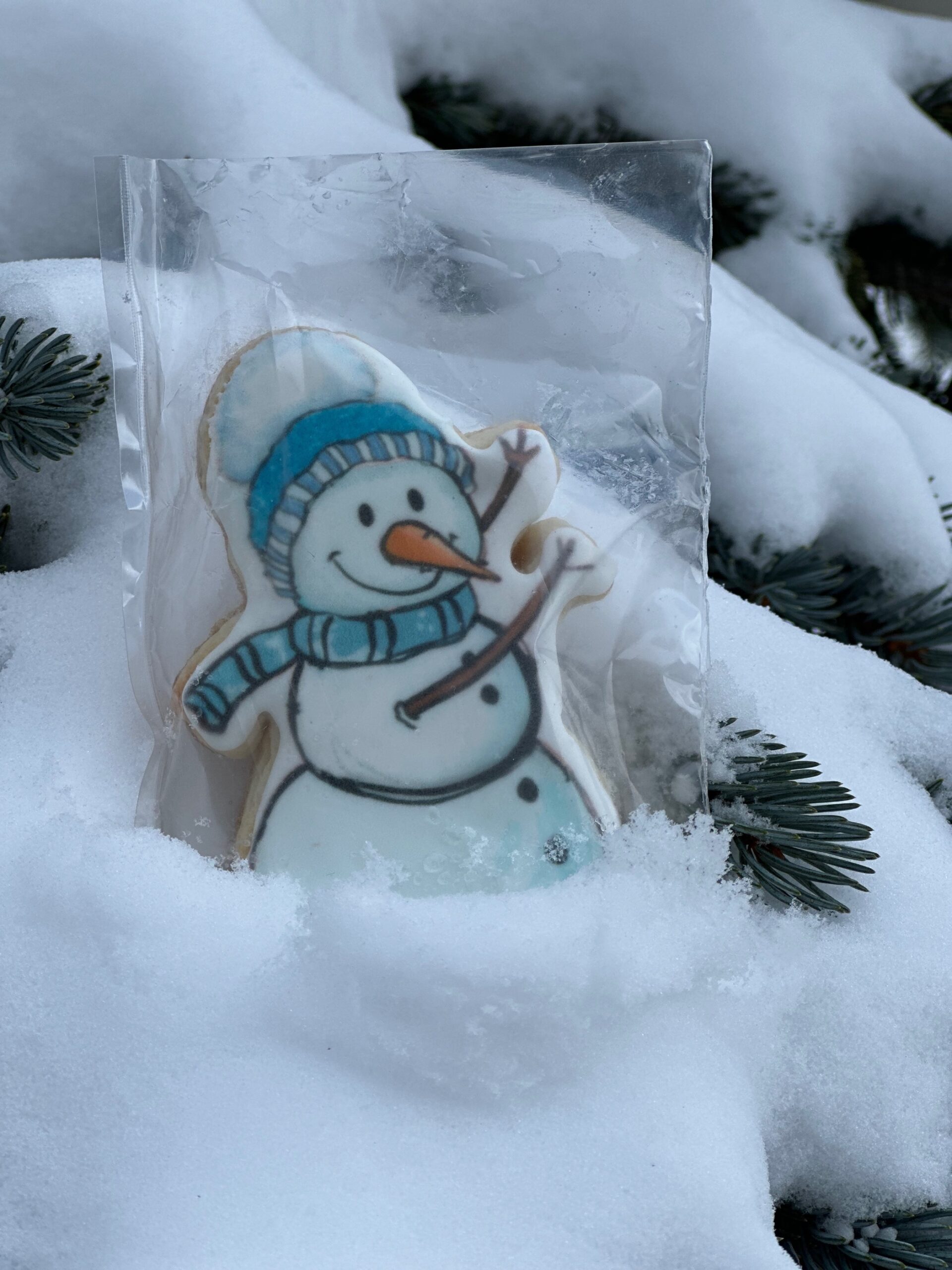 Snowman cookie nestled in snow among pine branches